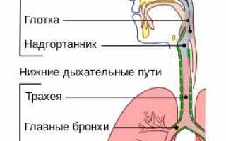 Что такое ОРВИ? Симптомы и лечение