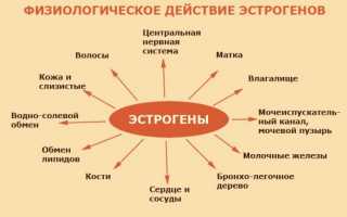 Симптомы избытка эстрогенов у женщин