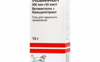 Инструкция по применению и аналоги геля Ксамиол