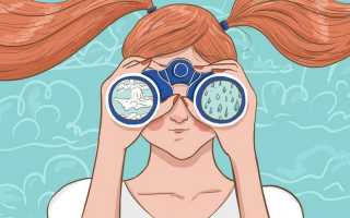 Теплый и сухой или влажный – какой воздух лучше? Идеальная влажность воздуха