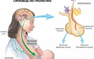 12 причин повышенного уровня пролактина у женщины. Что это значит?