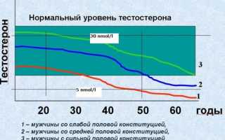 За что отвечает тестостерон и как он вырабатывается