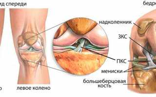 Где находится крестообразная связка в колене?