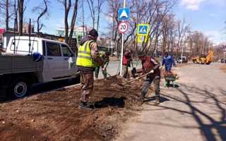 Большая уборка. Во Владивостоке наводят порядок все — от бизнесменов до волонтеров