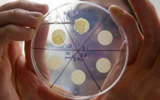 Что такое candida spp: симптомы и лечение вируса