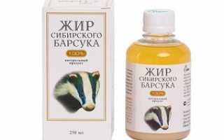 Натуральное лечебное средство — барсучий жир: лечебные свойства и противопоказания, цена и форма выпуска, правила использования для детей