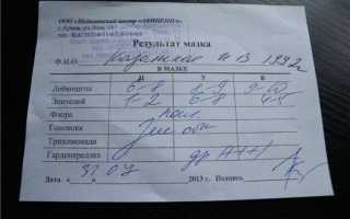 Что означает лактоморфотипы в умеренном количестве?