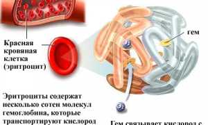 Причины и последствия высокого гемоглобина