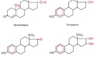 Половые гормоны