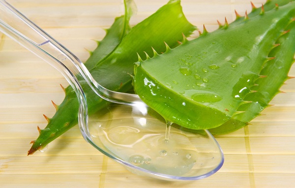 Компрессы из каланхоэ при протрузии позвоночника Протрузия позвоночника