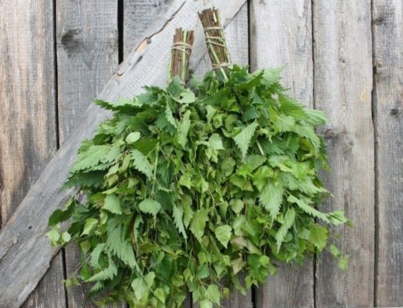 Народные способы лечения анкилозирующего спондилоартрита Анкилозирующий спондилоартрит