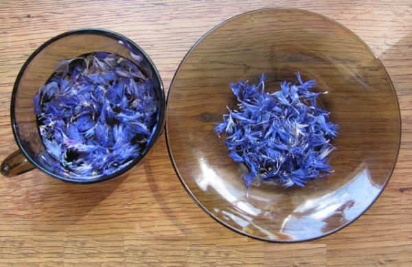 Вывих сустава: народные методы лечения Вывих сустава