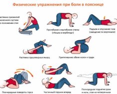 Гимнастика при болях в пояснице