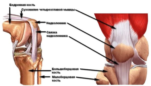 Пункция суставов