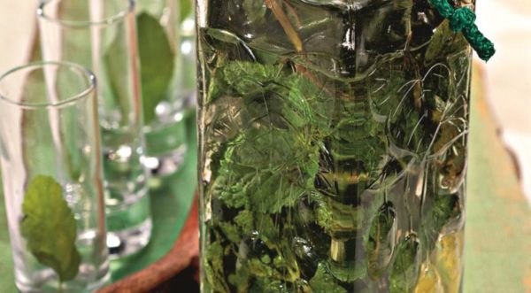 Народные методы лечения невралгии грудного отдела позвоночника Невралгия позвоночника