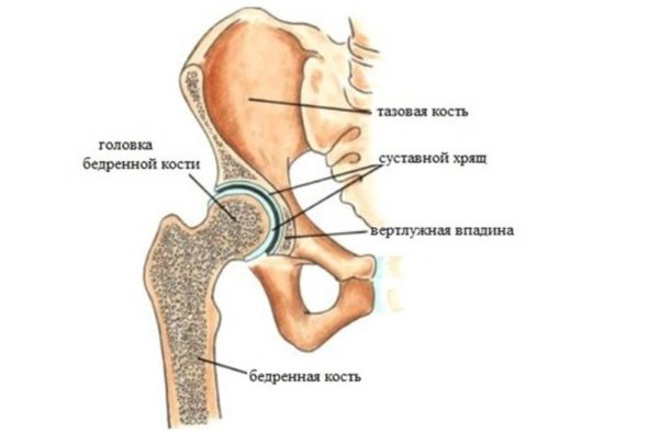Пункция суставов