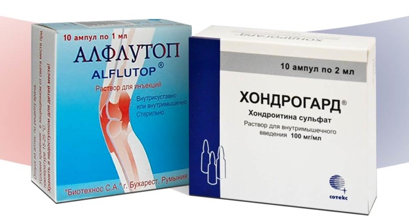 Хондрогард