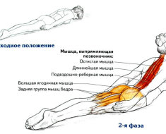 Какие мышцы работают в упражнении