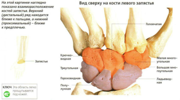 Пункция суставов