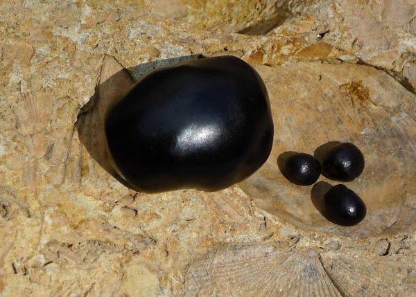 Лечение остеохондроза народными средствами: мумие Народное лечение остеохондроза