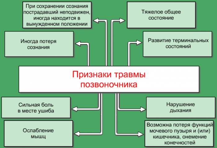 Травма позвоночника