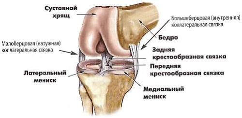 Разрыв связок коленного сустава