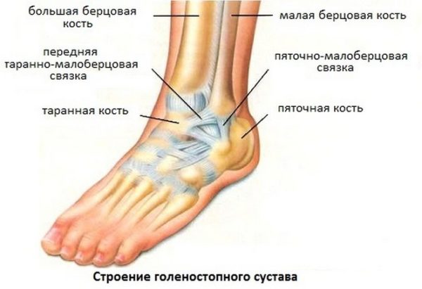 Пункция суставов
