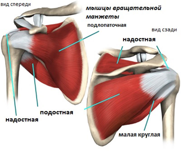 Тендинит плечевого сустава