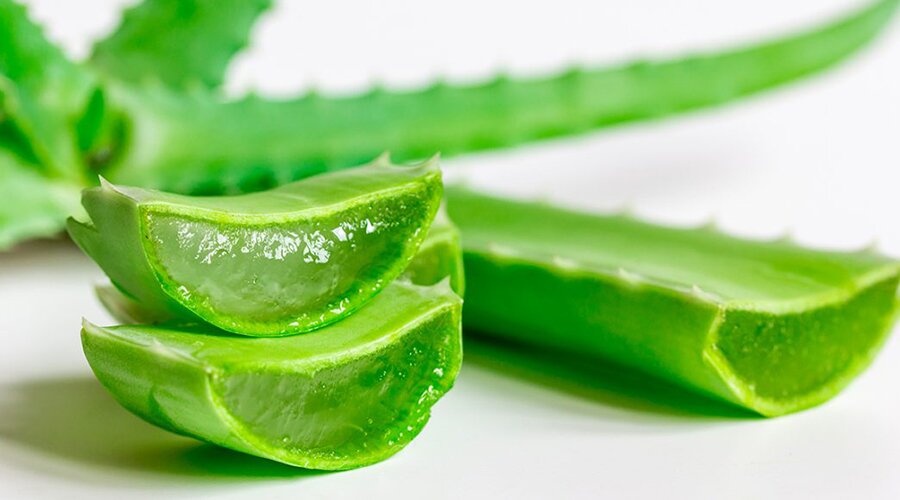 aloje vera
