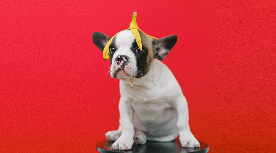 bananovyj koktejl vred