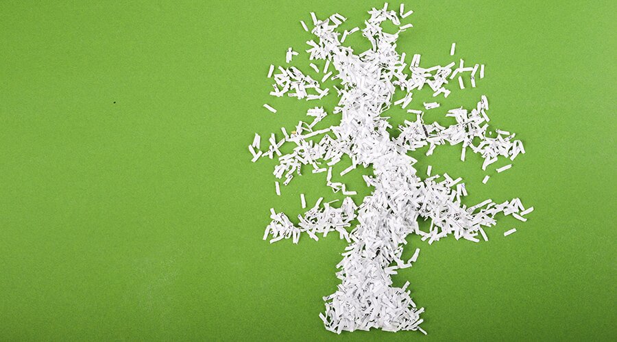 den bez bumagi vivavita vitajournal den bez bumagi vivavita vitajournal