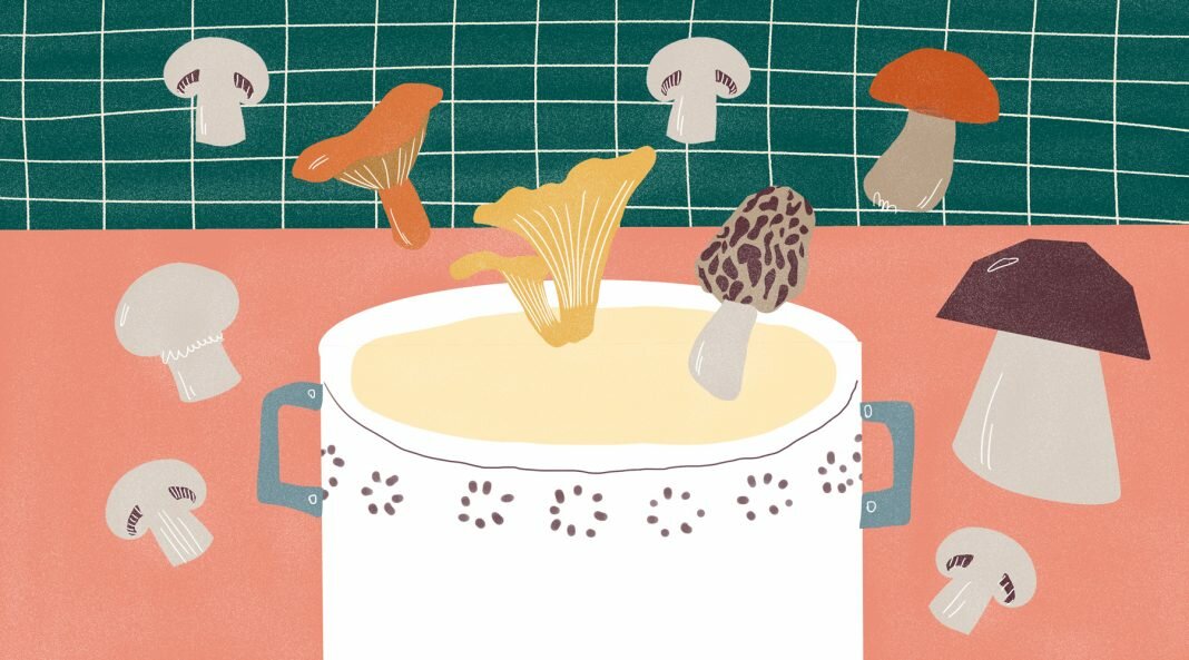 griby polza i vred vivavita vitajournal griby polza i vred vivavita vitajournal