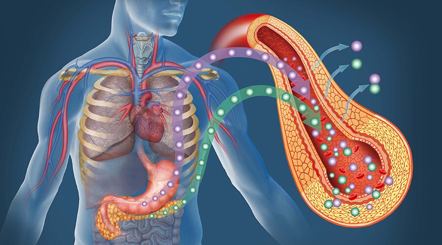 podzheludochnaja zheleza